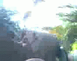 Jilbab_Asoyy_02_-_Indosex.TV.3gp